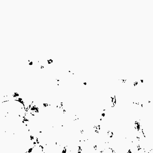 stuff